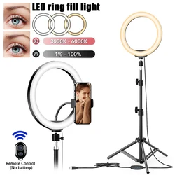 Anneau lumineux LED avec trépied de 50cm et télécommande, intensité variable, 26cm, 10 diodes, éclairage annulaire pour photographie, vidéo YouTube, Tik Tok Live