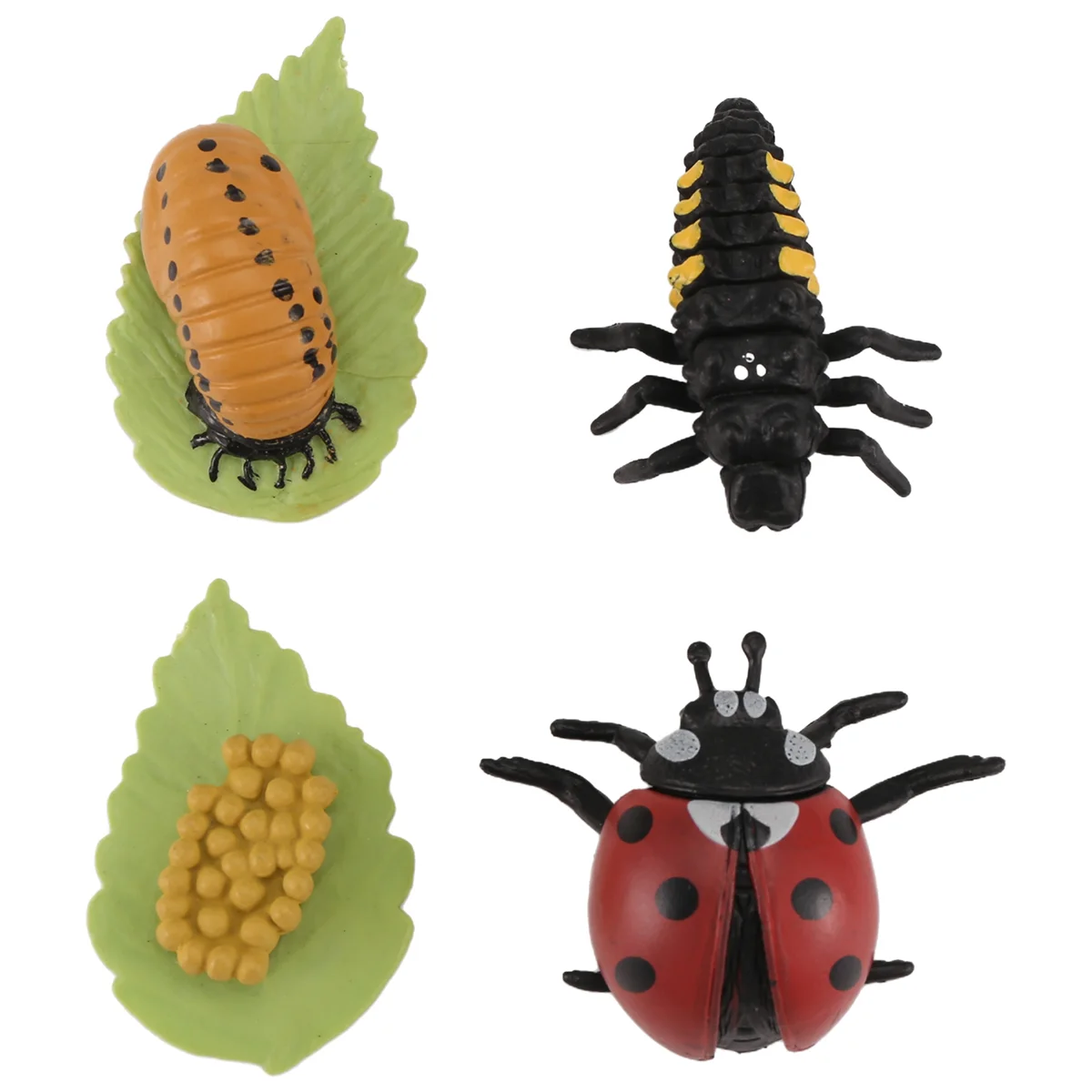 HLES Life Cycle Figurines of Butterfly Spider Bee Ladybug Dragonfly, Plastic Insect Bug Figures Toy, School Project for Kids