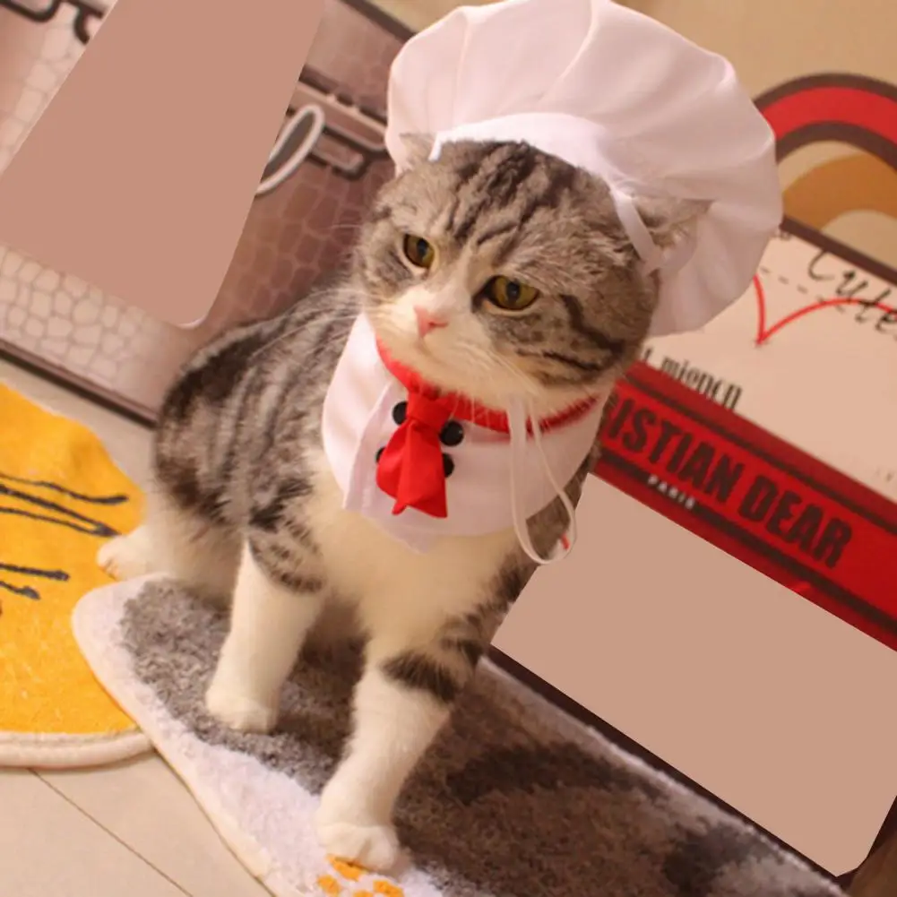 Pet Cooking King Hat Chef Hat Set Cat Dog Transformation Dress Cute Photo Decoration Hat Dog Costume Dog Hat Pet Accessories