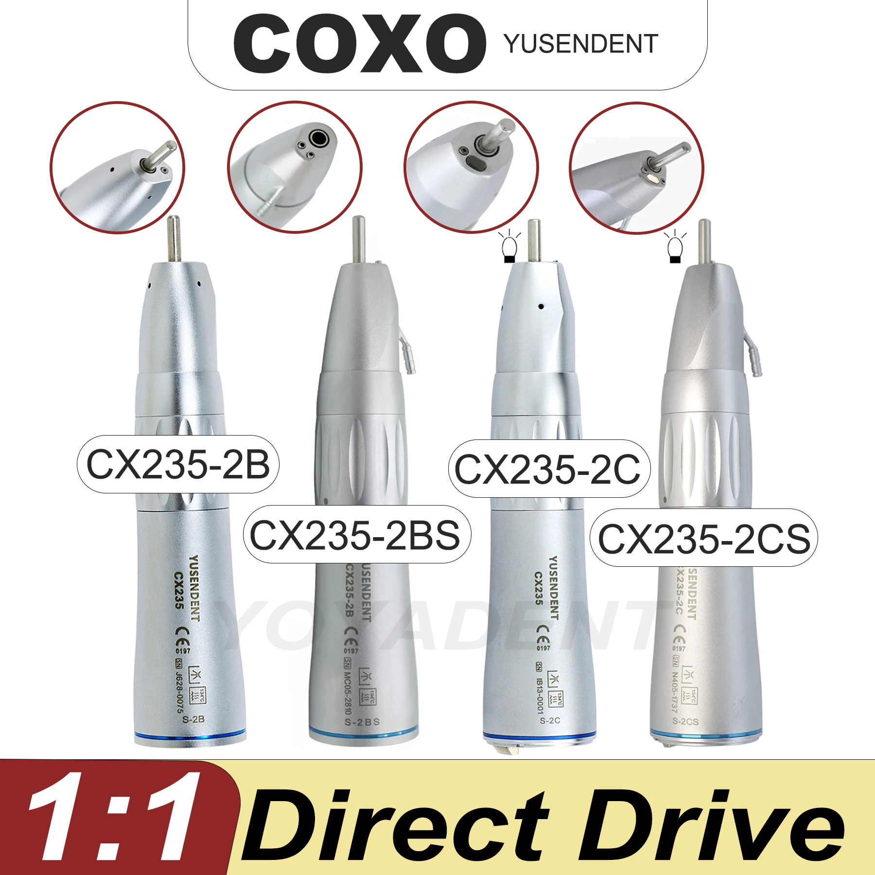 Coxo Dental Fiber O…