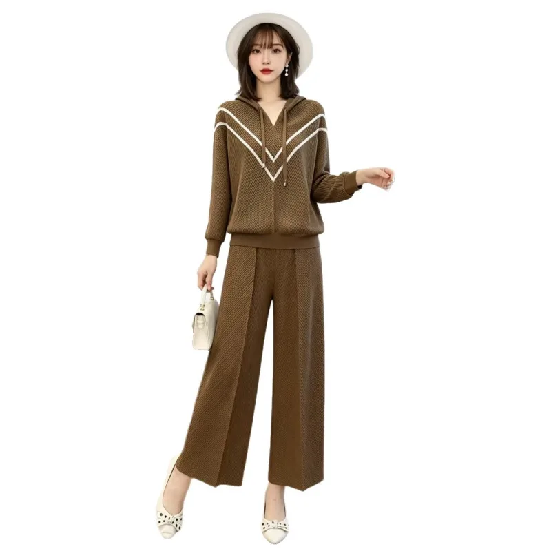 Miyake Pleated 2026 New Spring and Autumn Plus Size V-Neck Striped Loose Top and Draped Wide-Leg Pants Two-Piece Pleated Set