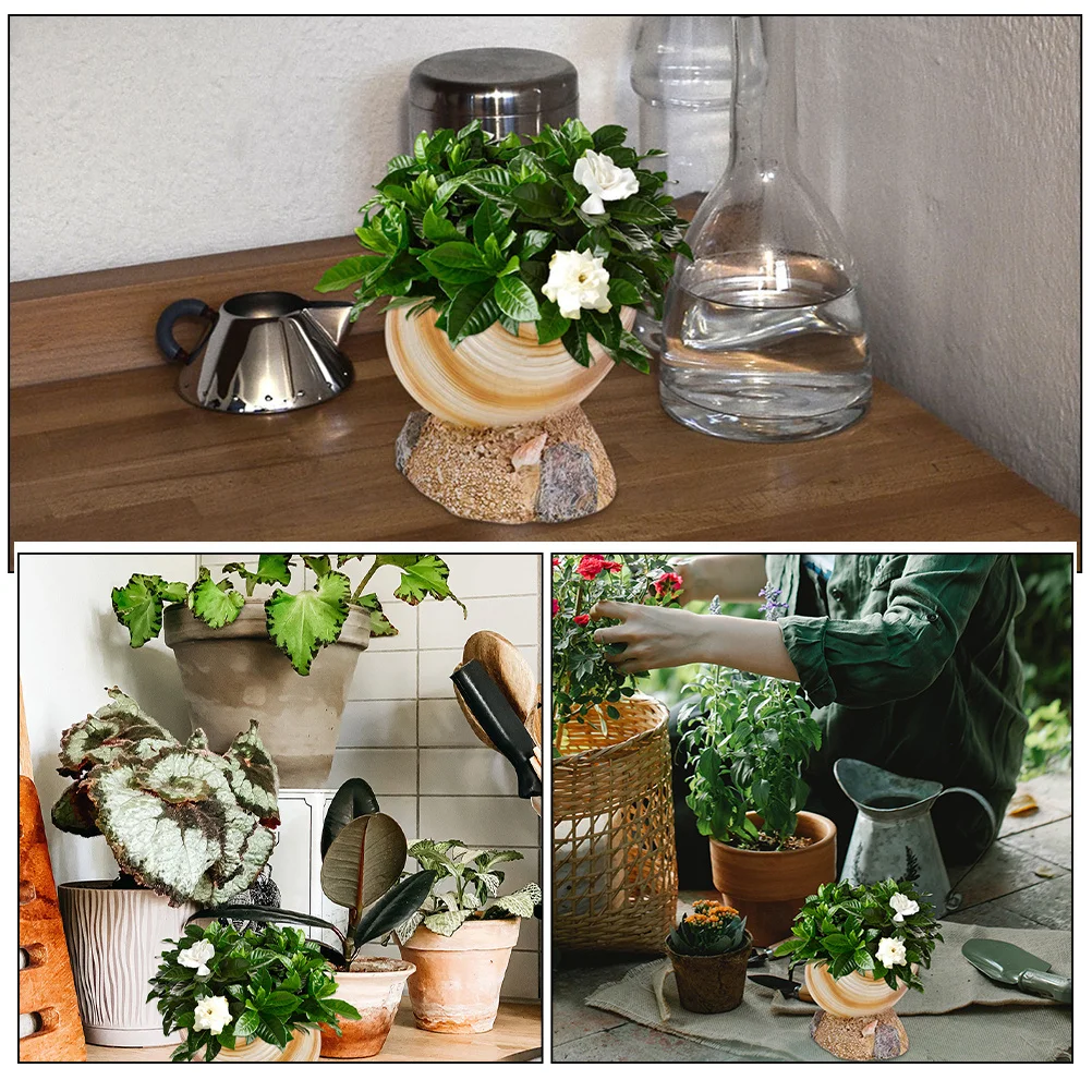 

2Pcs Resin Conch Flower Pot Cute Succulent Plant Holder Decorative Cartoon Planting Pot Small Cactus Planter Office Desk Garden