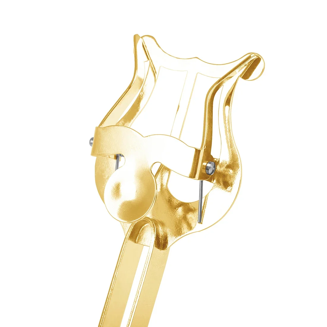 Thumbnail 4 - #38 Ranked Flute Accessories Picks in 2026