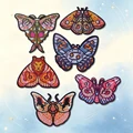 HP-Set-0161