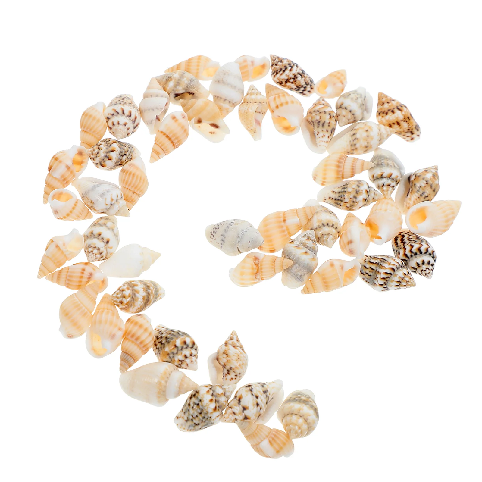 50 Pcs Simulation Shell Micro Props Landscape DIY Small Seashells for Crafts Beach Conch Ornament