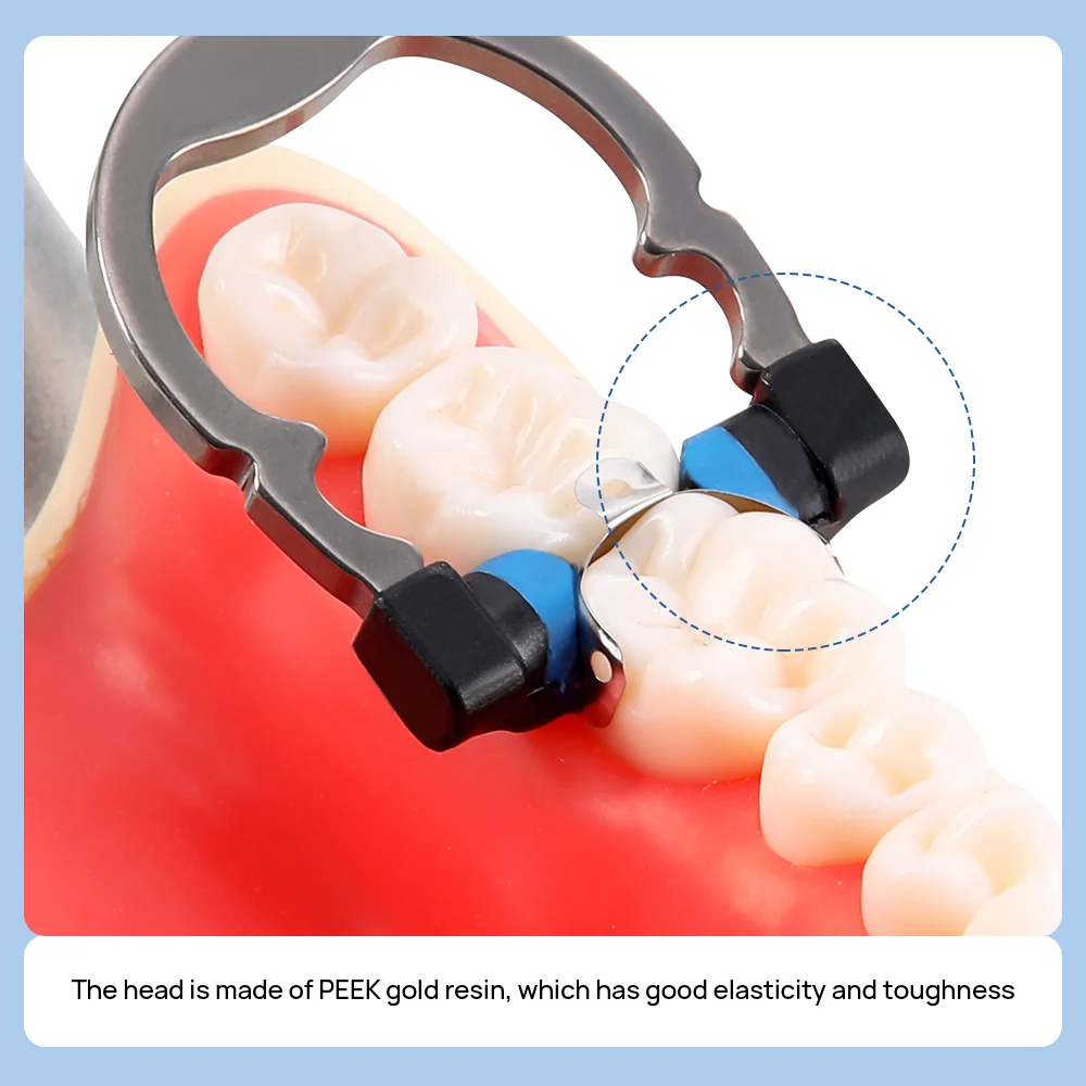 Dental Sectional Matrix System Complete Kit Reusable Matrix Clip Ring Matrix Bands & Plastic Wedges