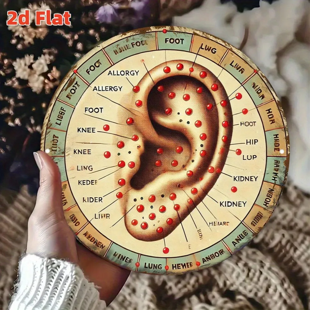 

2D Flat Ear Acupressure Points Reflexology Chart–Waterproof, Dustproof for TCM Clinics,Schools, Relax Centers Anatomical Art