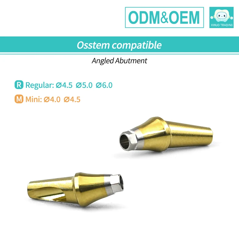 Osstem Angled Abutment 17 Degree a & B Type for Hiossen TS III Implant System Titanium Grade 5 Dental Restoration Factory Price