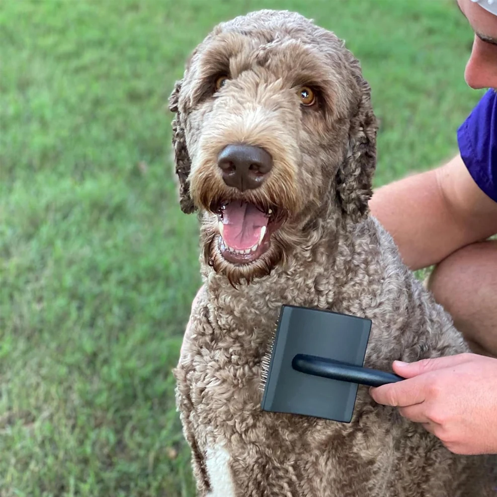 Dog Slicker Brush - Dogs Grooming Brush Especially Designed for Poodles and Doodle Mixes Fluff, Detangle and Demat Dog Comb