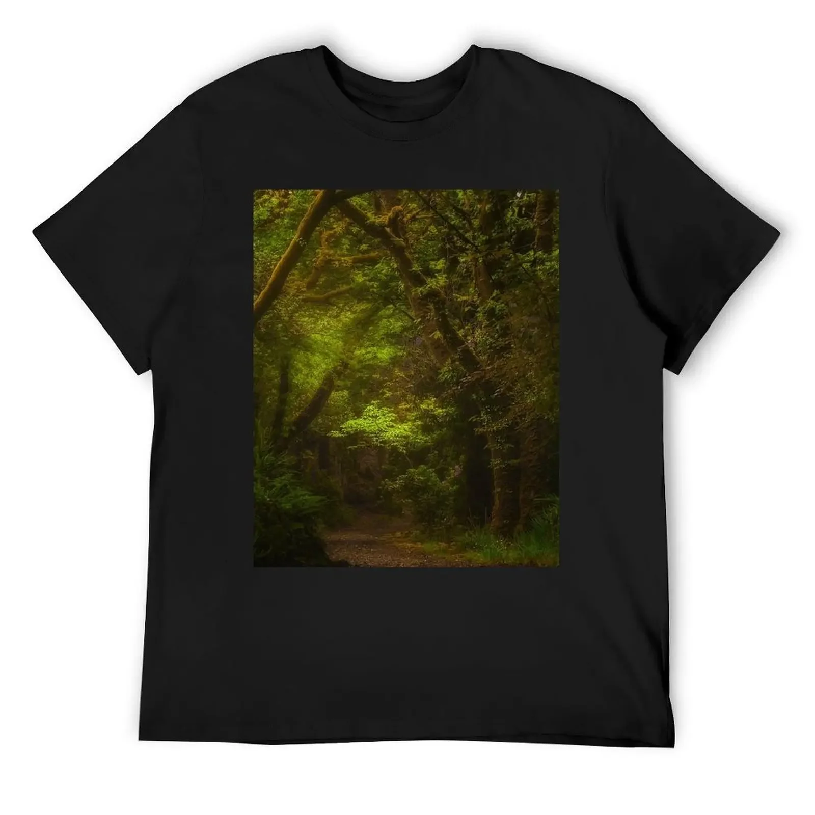 

Ireland - Forest T-Shirt heavyweights anime tshirt mens champion t shirts