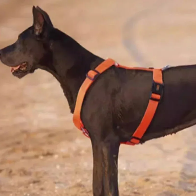 كبير الكلب تسخير XL النايلون سلالة صغيرة متوسطة الكلب سترة تسخير لا سحب مكافحة زلة الكلاب يسخر H على شكل في الهواء الطلق مستلزمات الحيوانات الأليفة
