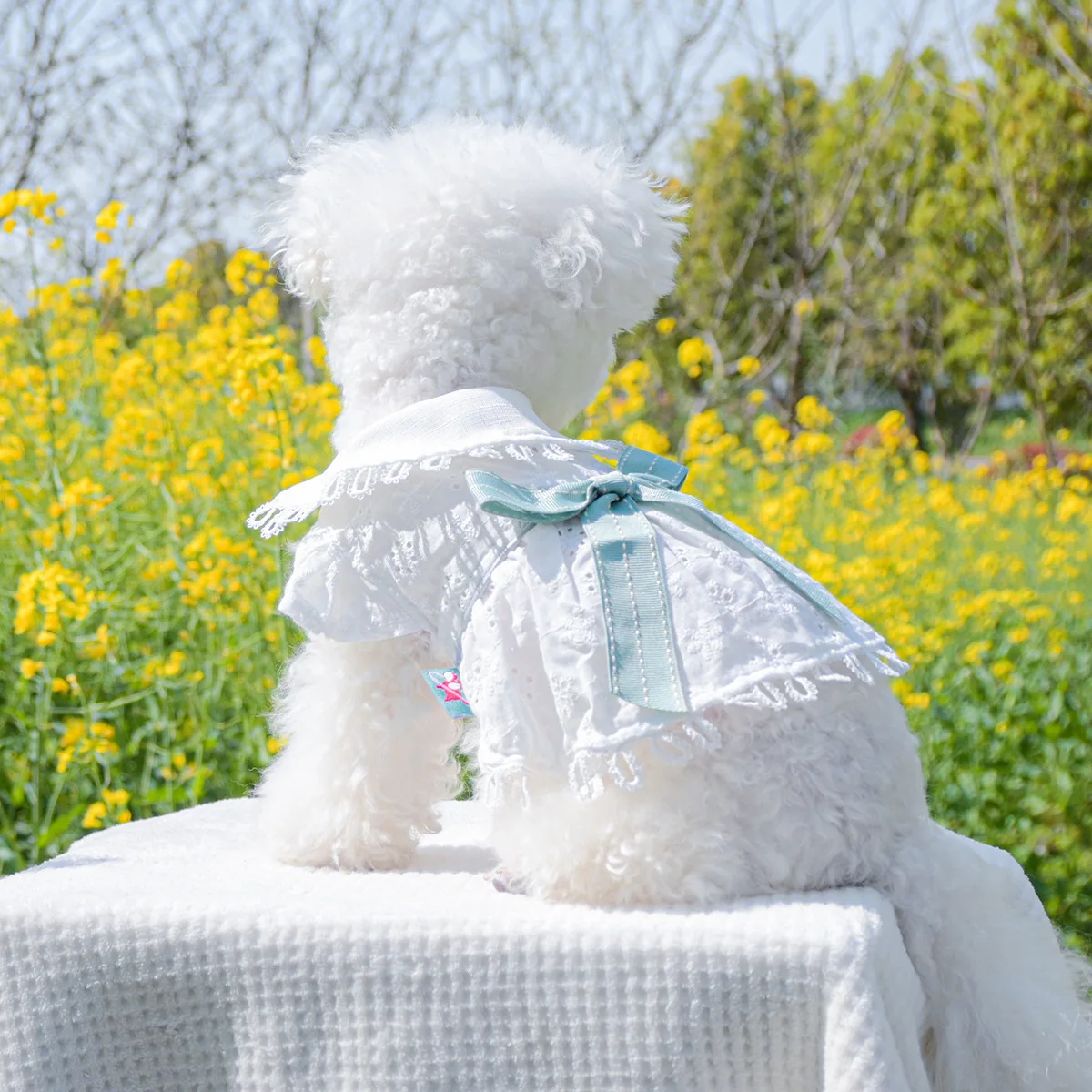 

Summer Pet Clothes Puppy Wedding Dress Princess Dress Butterfly skirt For Small Medium Dogs Cat Skirt Shih Tzu Dog Clothes