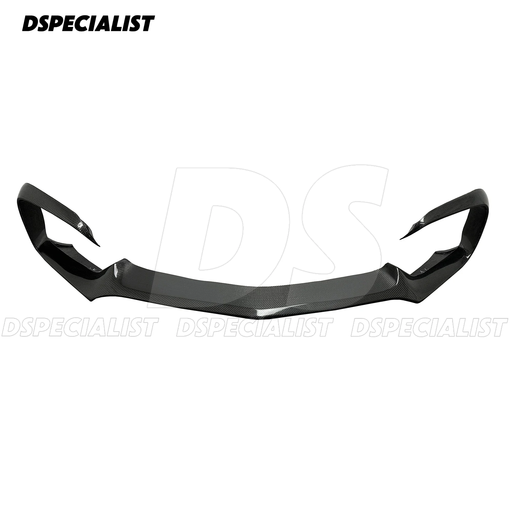 

R Style Carbon Fiber Front LIP for GT GTC GTS Body Kit