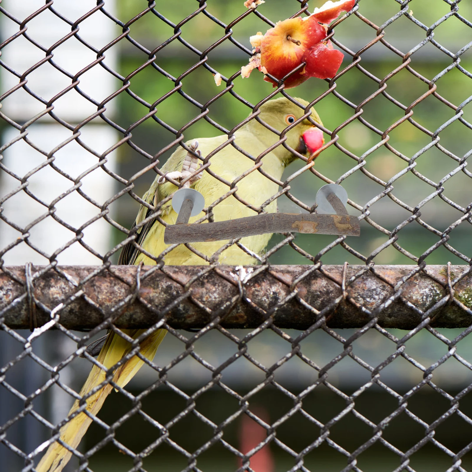 

Parrot Wooden Standing Rod U Shape Perch Durable Bird Toy Cage Accessory Food Bowl Supporting Rack Rest Swing Pet Supplies