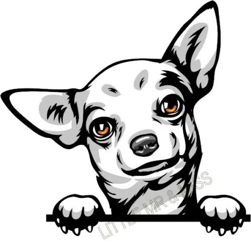 

For Chihuahua Peeking Dog Breed Colour Window Wall Laptop Mug Sticker w/proof