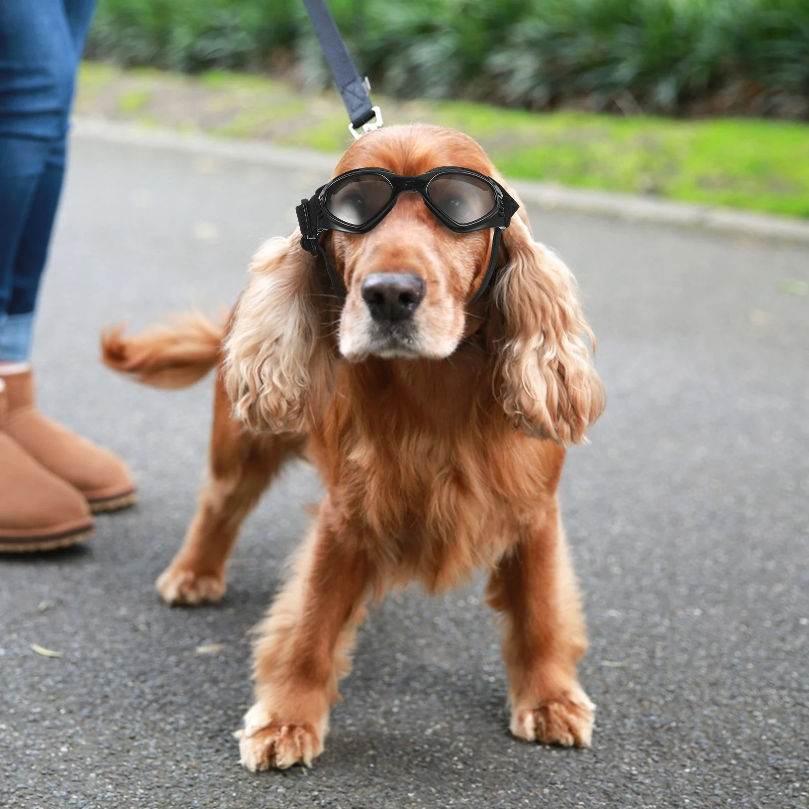 

Glasses Pet Sunglasses Cat Foldable Dog Eye Goggles Black Doggie for Small Dogs