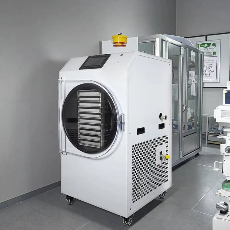 Industrial 12Kg 14Kg Lyophilizer Equipment Home Drying Machine Dried Meat Food Freeze Dryer For Fruit Vegetables