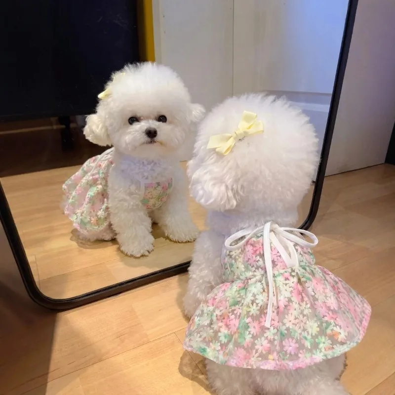 

Pomeranian Cherry Camisole Dress Princess Style Dog Clothes Bichon Summer Breathable Clothing Yorkshire Beautiful Skirt