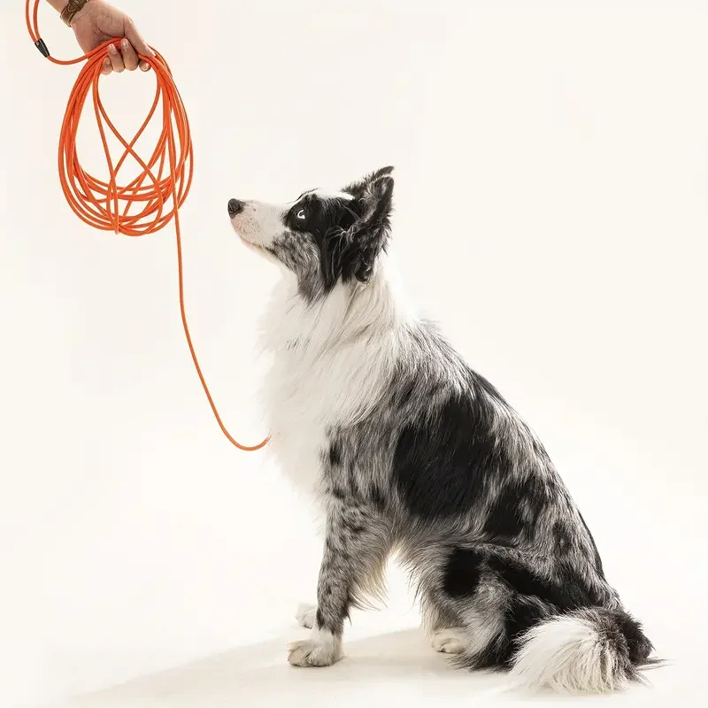 Thumbnail 2 - #73 Best Dog Leads to Buy In 2026