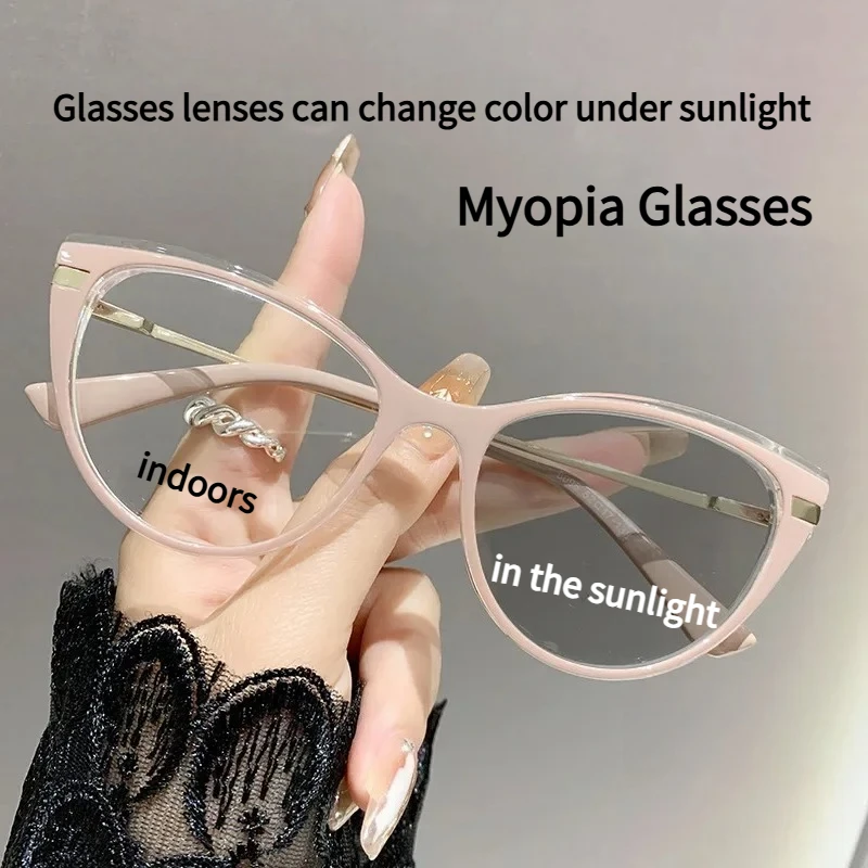 Cat Photosensitive …