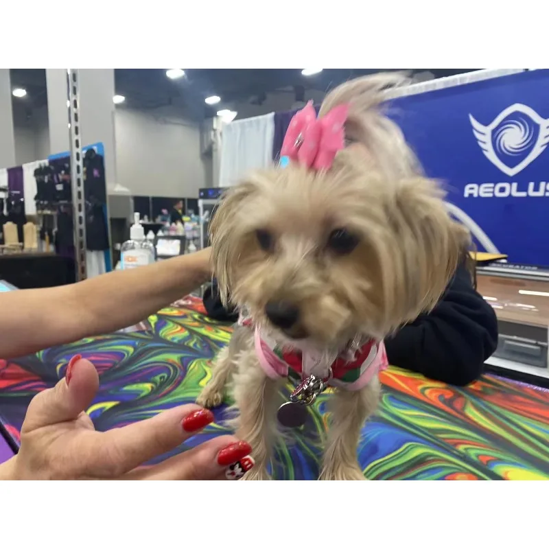 صالون العناية بالحيوانات الأليفة، طاولة أكورديون كبيرة للكلاب، طاولة احترافية لرفع الكلاب الكهربائية