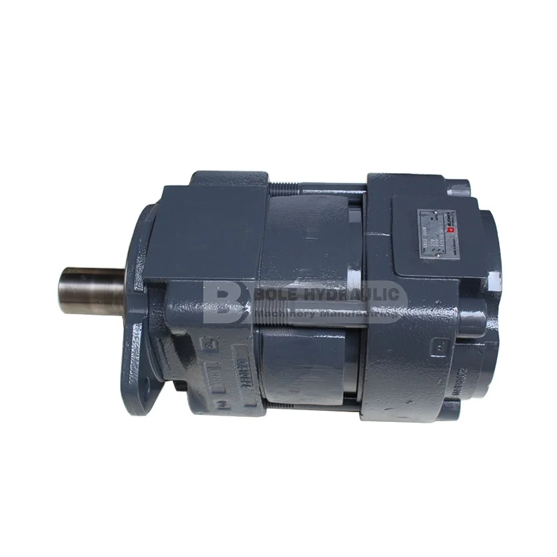 QX41-040R QX32-012R09 QX51-100R QX32-012R09 Steel Mill/agricultural Vehicle/Automobile Hydraulic Components Gear Oil Pump