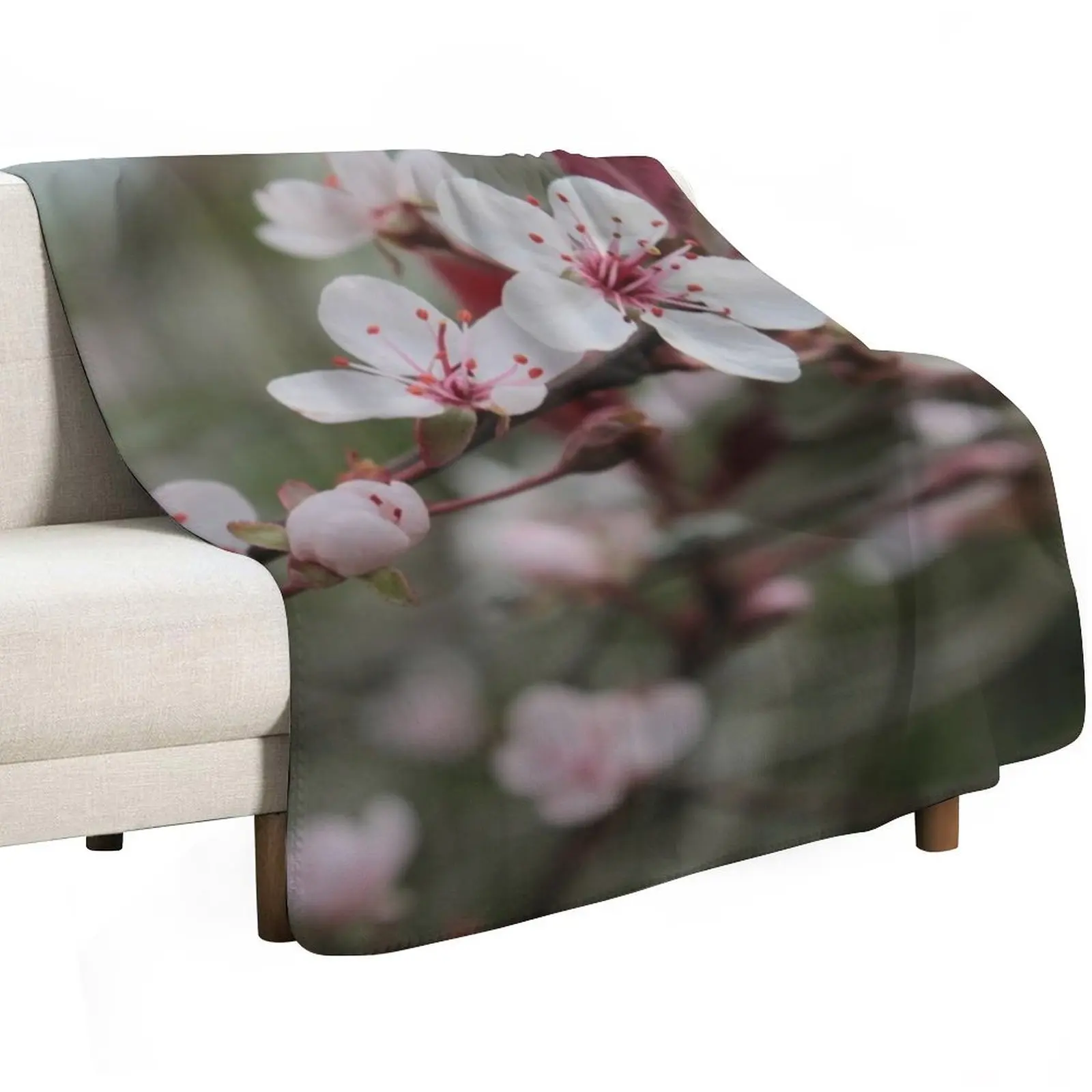 Cherry Blossoms 4 Throw Blanket Summer Sofas For Sofa Thin Blankets Sofas Of Decoration warm for winter Thins Blankets