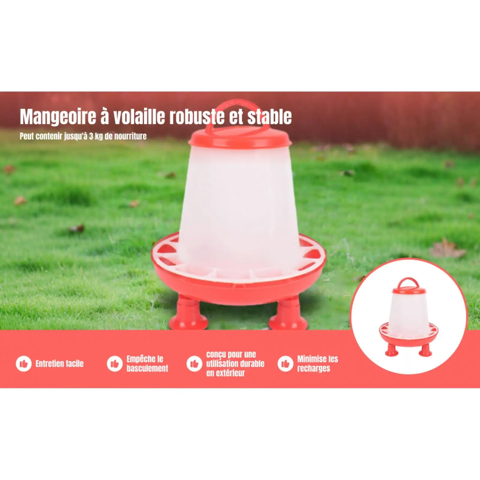 Comedero automático duradero para gallinas, pollos y palomas - imagen 4