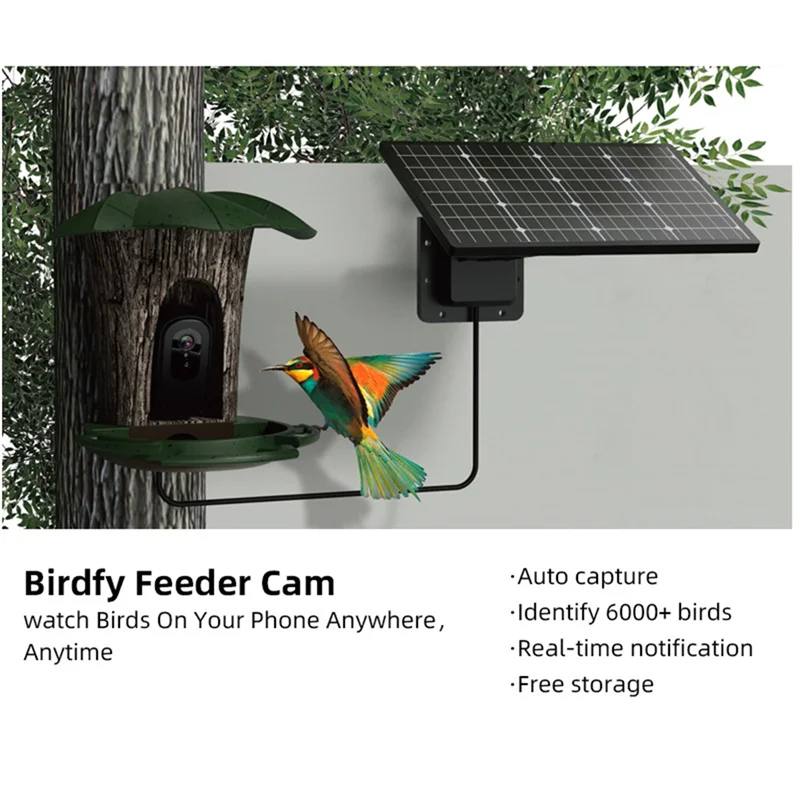 

AUAU-Smart Bird Feeder Bird Feeder With Camera Remote Connected Bird Watching For Automatically Capturing Bird Videos