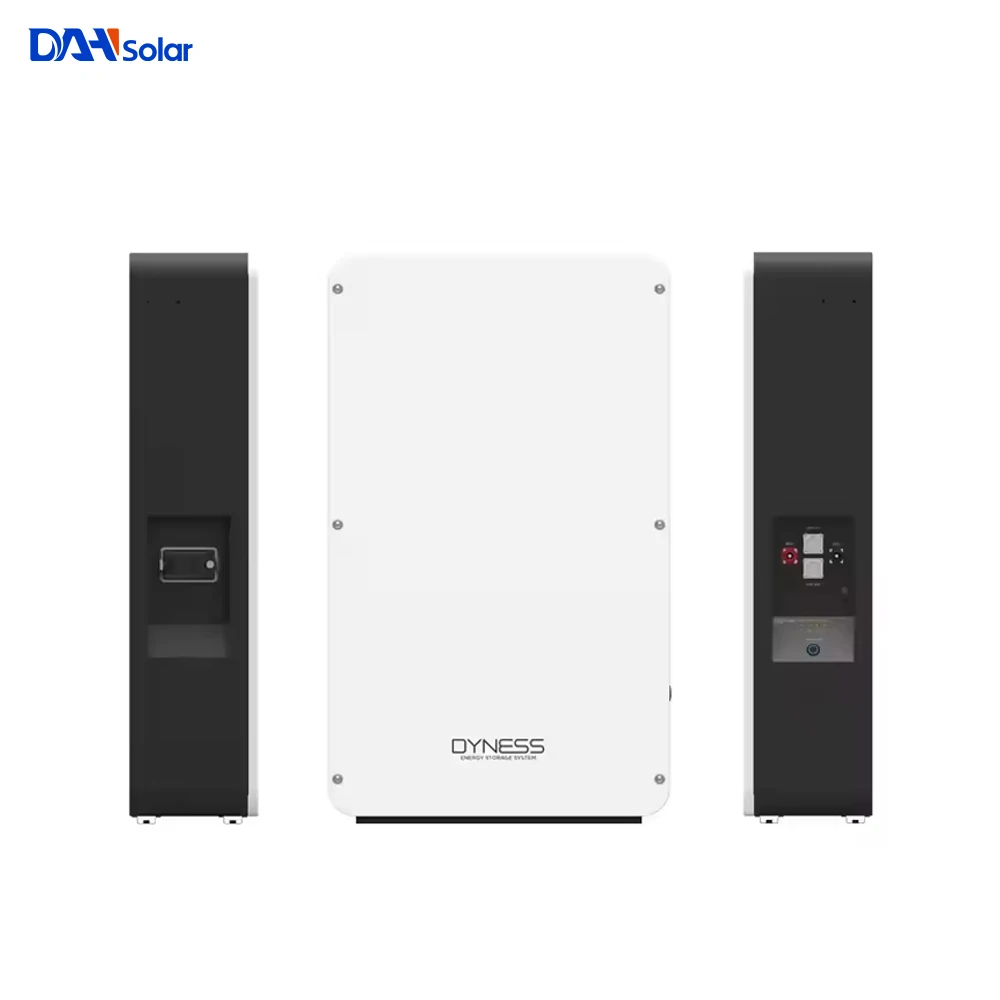 Dyness Battery Power Wall 10kwh 48v System Lifepo4 Battery 200ah 100ah Home Lithium Solar Energy Storage Battery