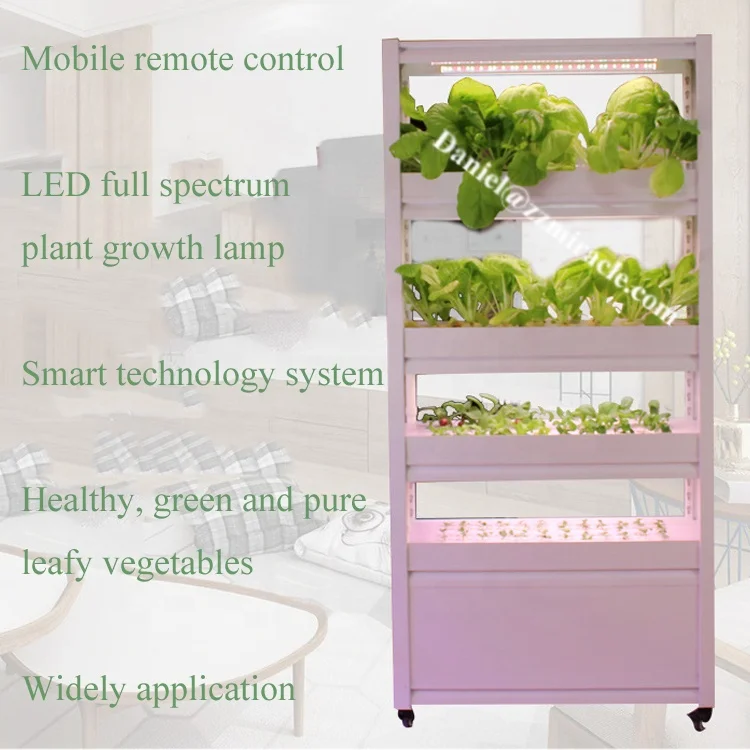 أنظمة الزراعة المائية المنزلية لآلة زراعة الخضروات الخس #5