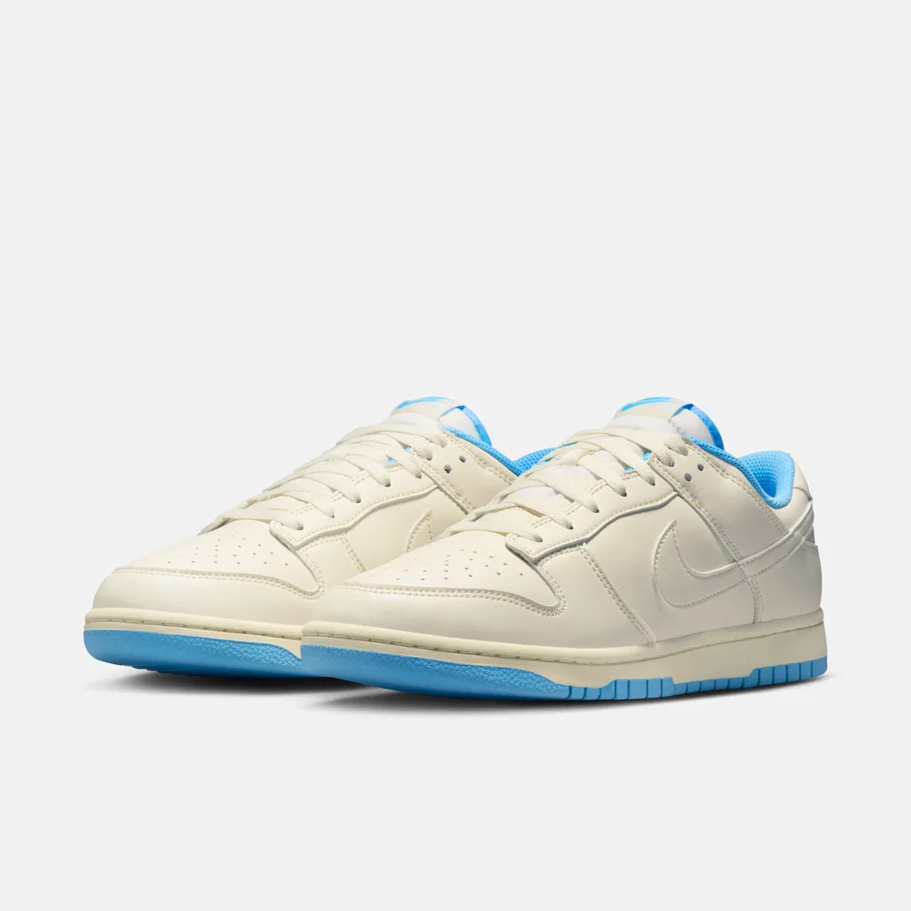NIKE Men's DUNK LOW RETRO Sports and Leisure Shoes HF5441-119