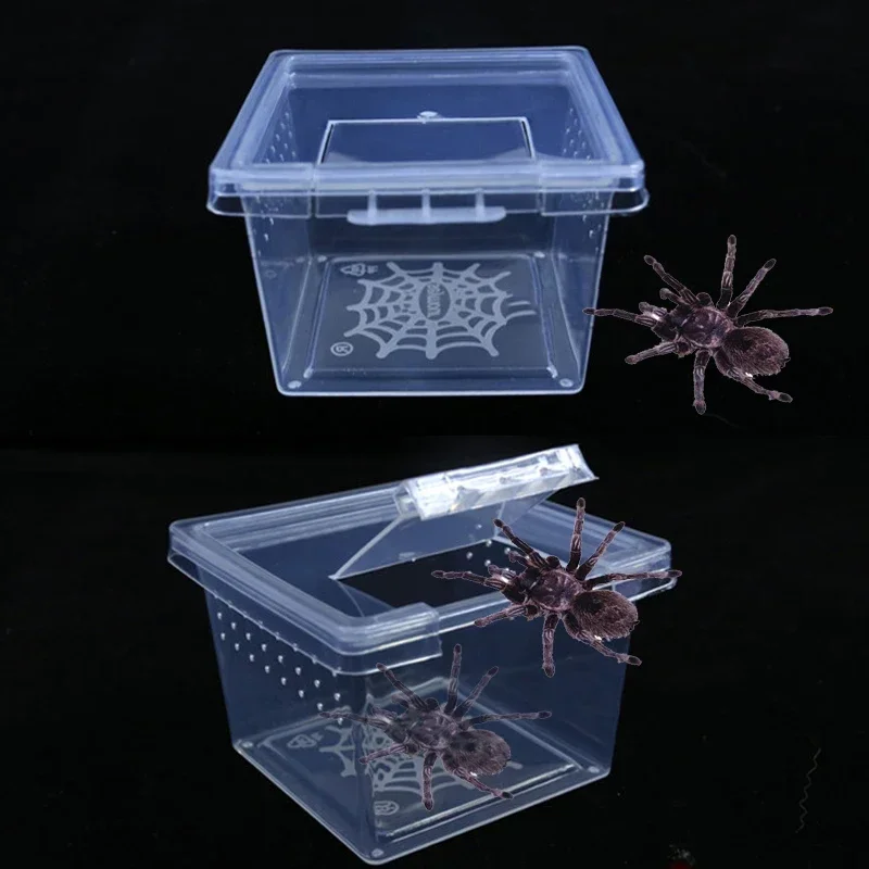 1pcs Feeding A Tortoise Spider Beetle Insect Housecrylic Box Reptile Cage Hatching Container Rearing Tank for Lizards Terrarium