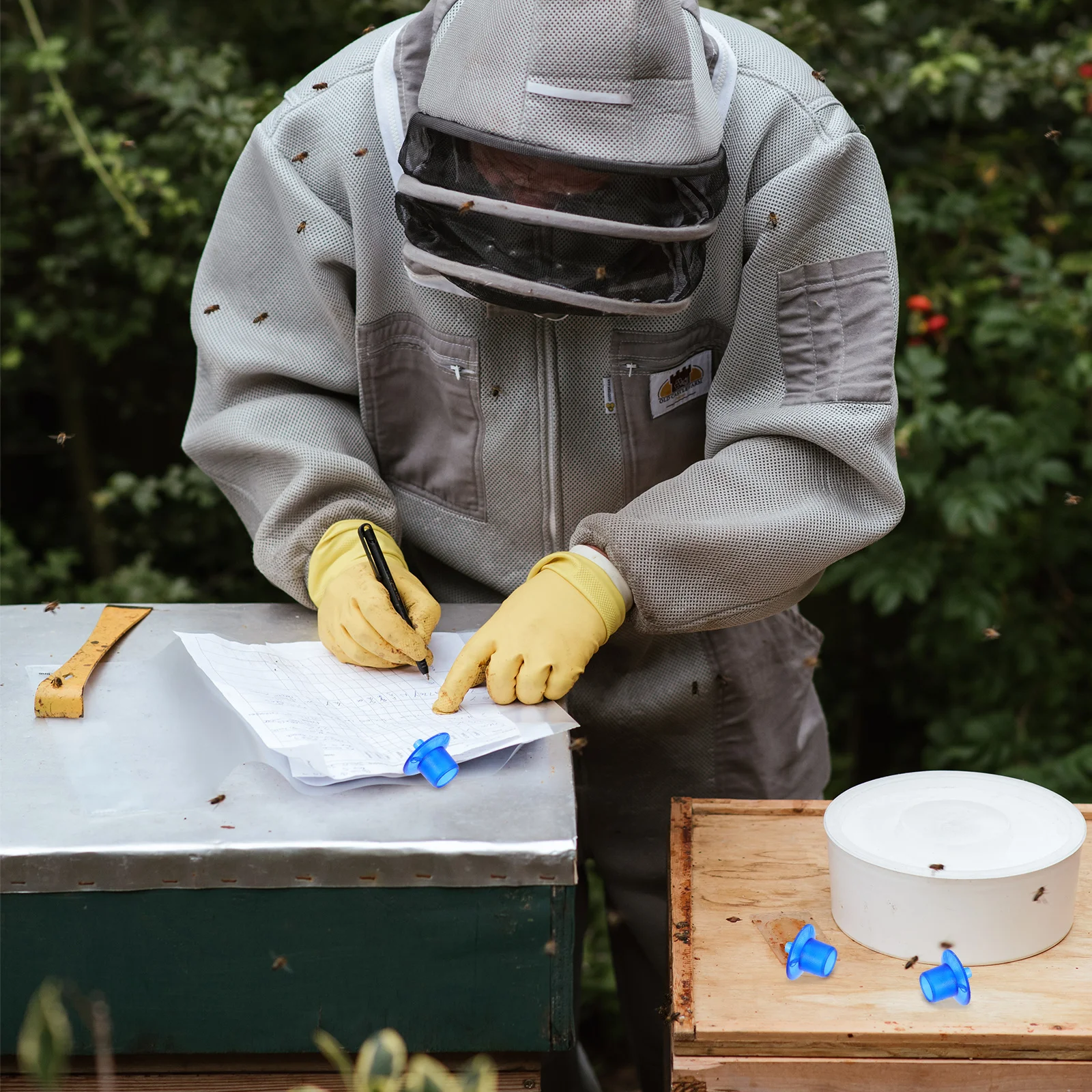 

100pcs Queen Rearing Cell Cups Style Bee Incubation Bases For Beekeeping Equipment Beekeeper Supplies Rearing