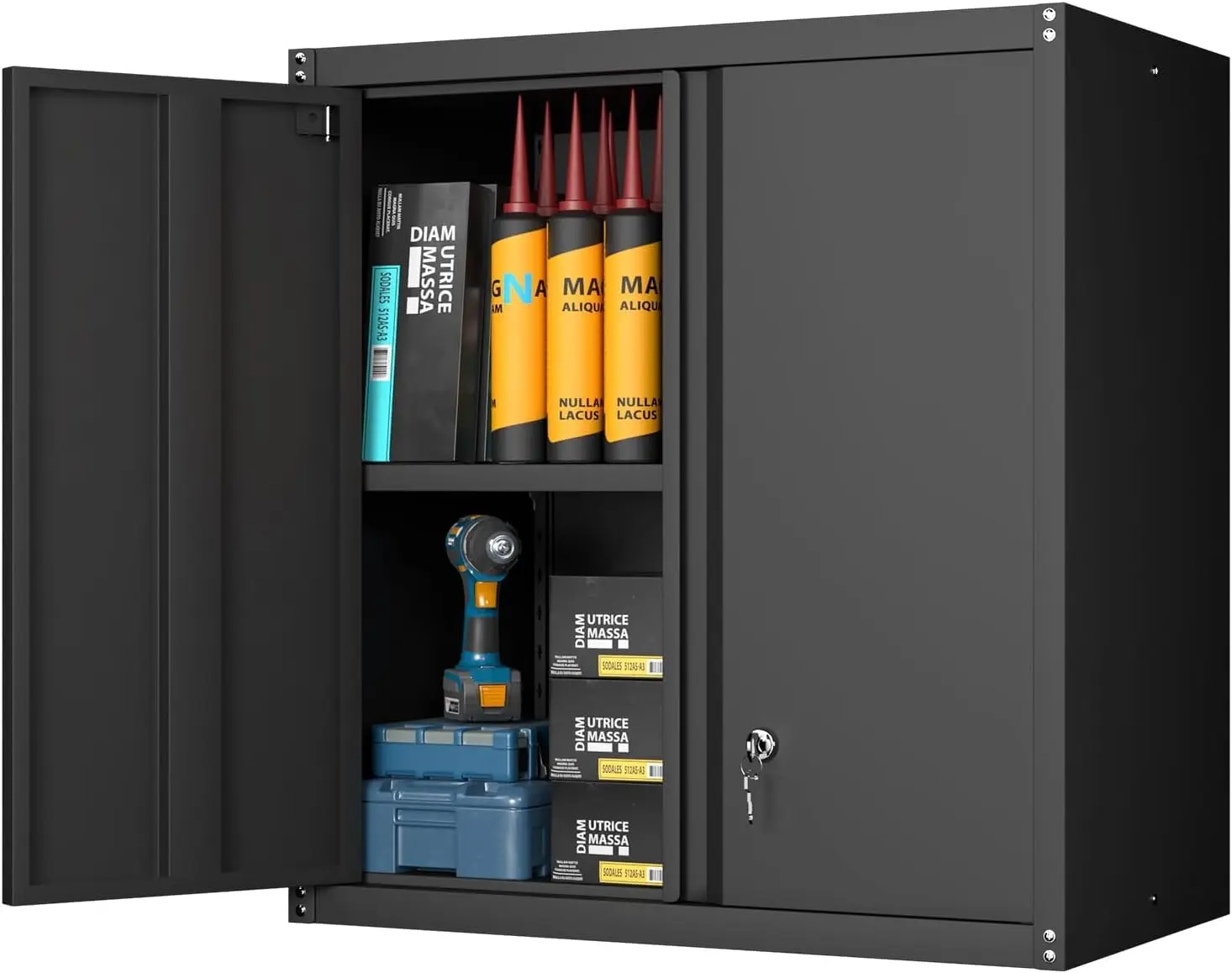 Locking Metal Garage Wall Cabinet with Doors and Shelf