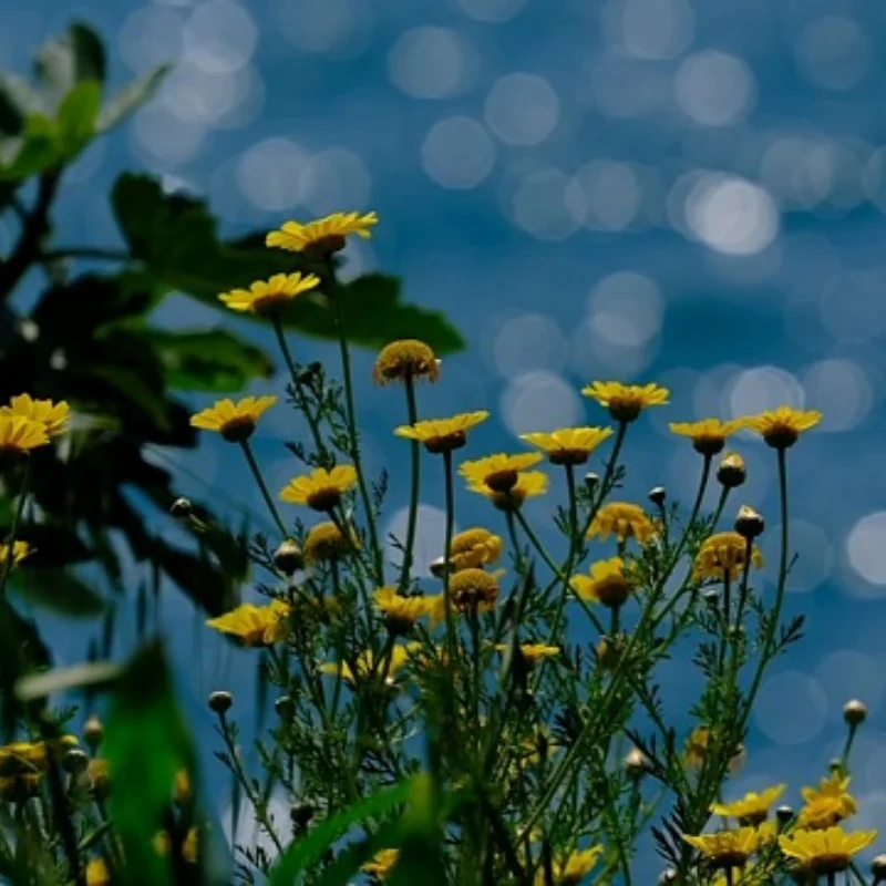 

Шины для колес багги 1/8, шестигранные шины 17 мм для радиоуправляемого внедорожного автомобиля 1:8 ARRMA Typhon Trxs Kyosho HSP