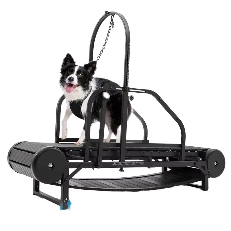 

Height Adjustable Stainless Steel Treadmill for Medium Large Dogs Waterproof IPX7 Pedometer Brake Included Training Supplies