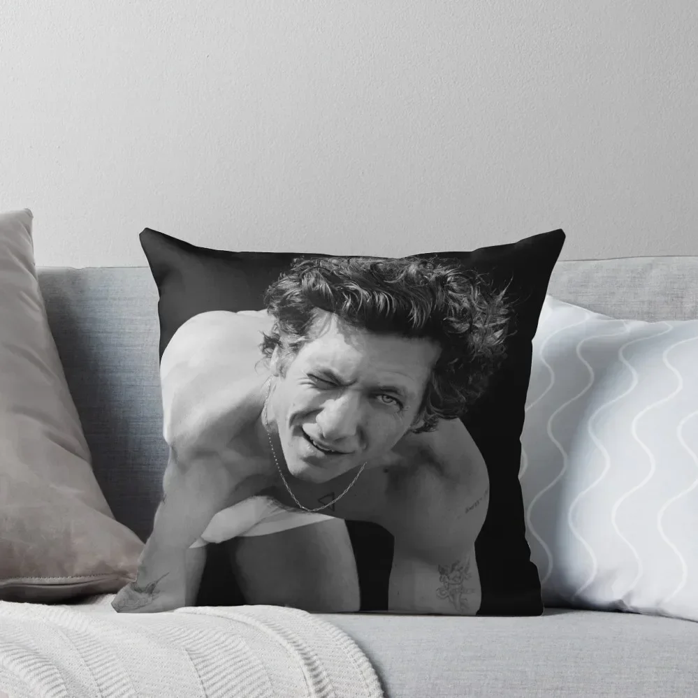 

Jeremy Allen White classic Throw Pillow Cushion Covers For Living Room Plaid Sofa Luxury Sofa Cushions home decor items pillow
