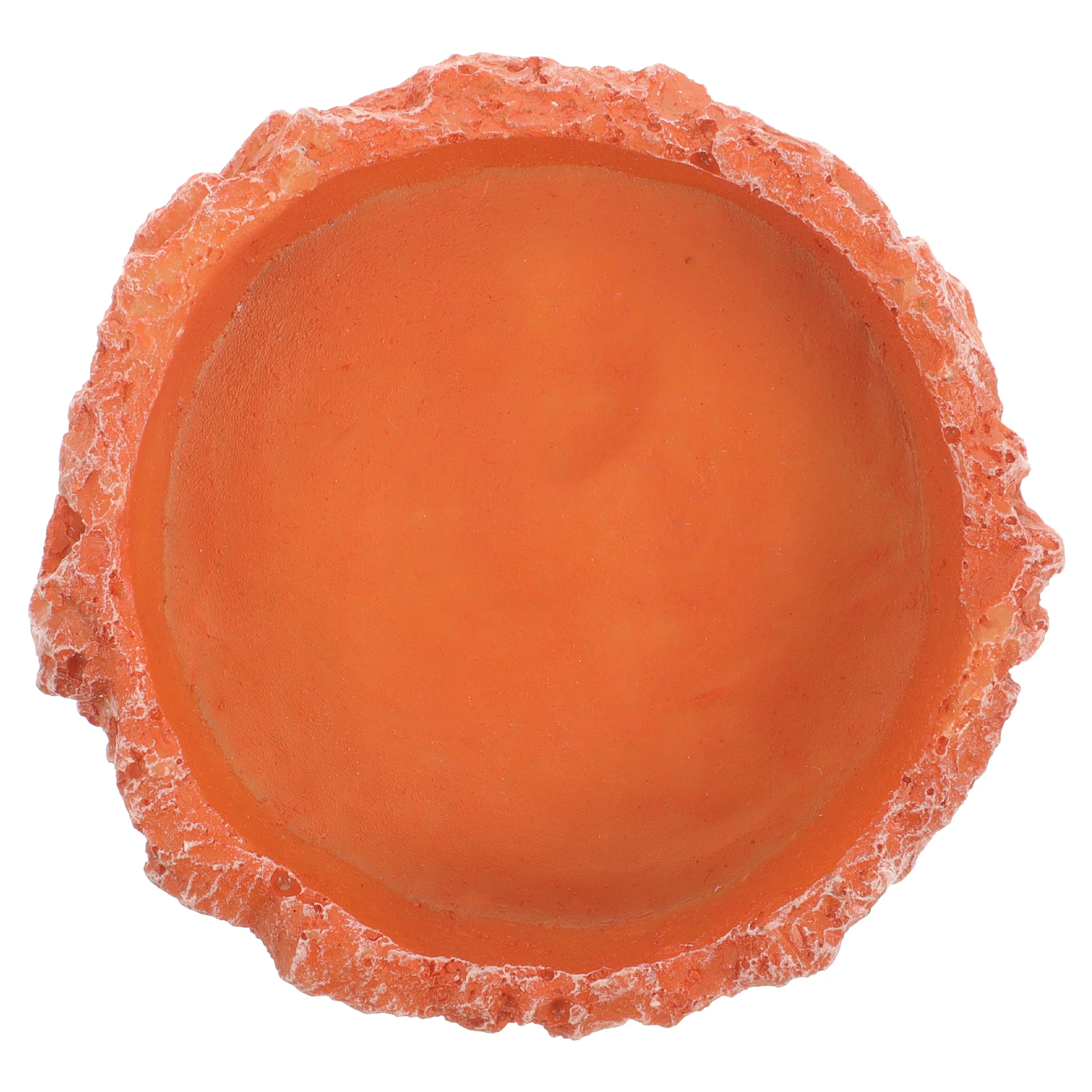 

Reptile Feeding Bowl Pet Supplies Resin Water Dish for Lizards Small Animals Stable Durable Red Crawler Accessories Food