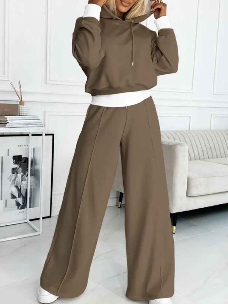 Women Elastic Waist Wide Leg Pants Outfit, Loungewear Patchwork Hooded Pullover Top Two Pieces Matching Sets, 2023 Autumn Winter