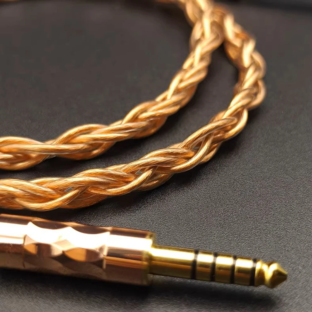 In Ear Monitor Earp…