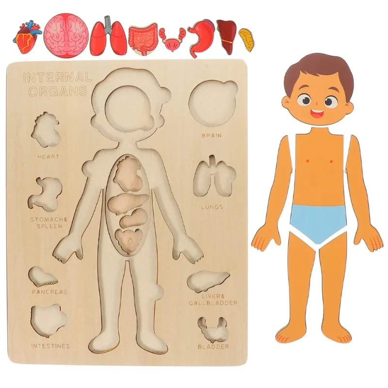 Montessori-Puzzles für den menschlichen Körper, beschäftigtes Brett, Körperteile, Unterrichten, pädagogisches Anatomie-Spielzeug für Kinder, frühes Lernspiele
