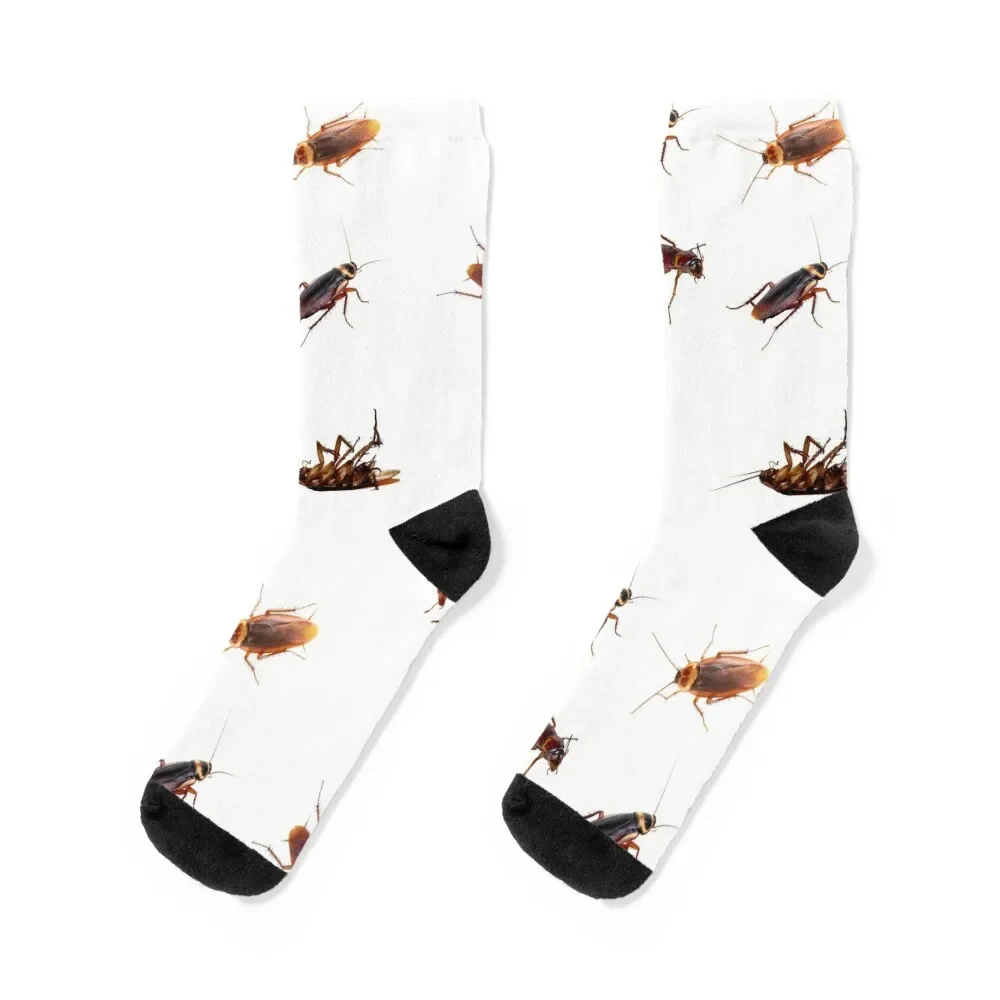 Cockroach Collection Socks essential sport Men Socks Women's