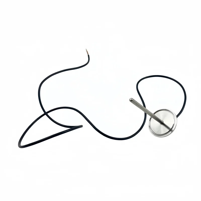 Flange50.5mm TC 304 stainless steel waterproof temperature sensor pipe fittings with silicone wire digital temperature probe