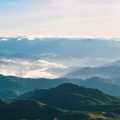 

NEW 3.2V 25Ah LiFePO4 battery cell 25000mAh Lithium iron phosphate deep cycles for Diy 12V 24V 36V 48V solar energy UPS power