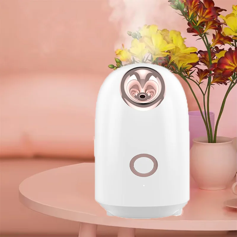 Gesicht heißen Nebel feuchtigkeit spendende Reinigung Poren klar Mitesser Akne Innen be feuchter Home Spa-System Spray Haut Gesichts dampfer