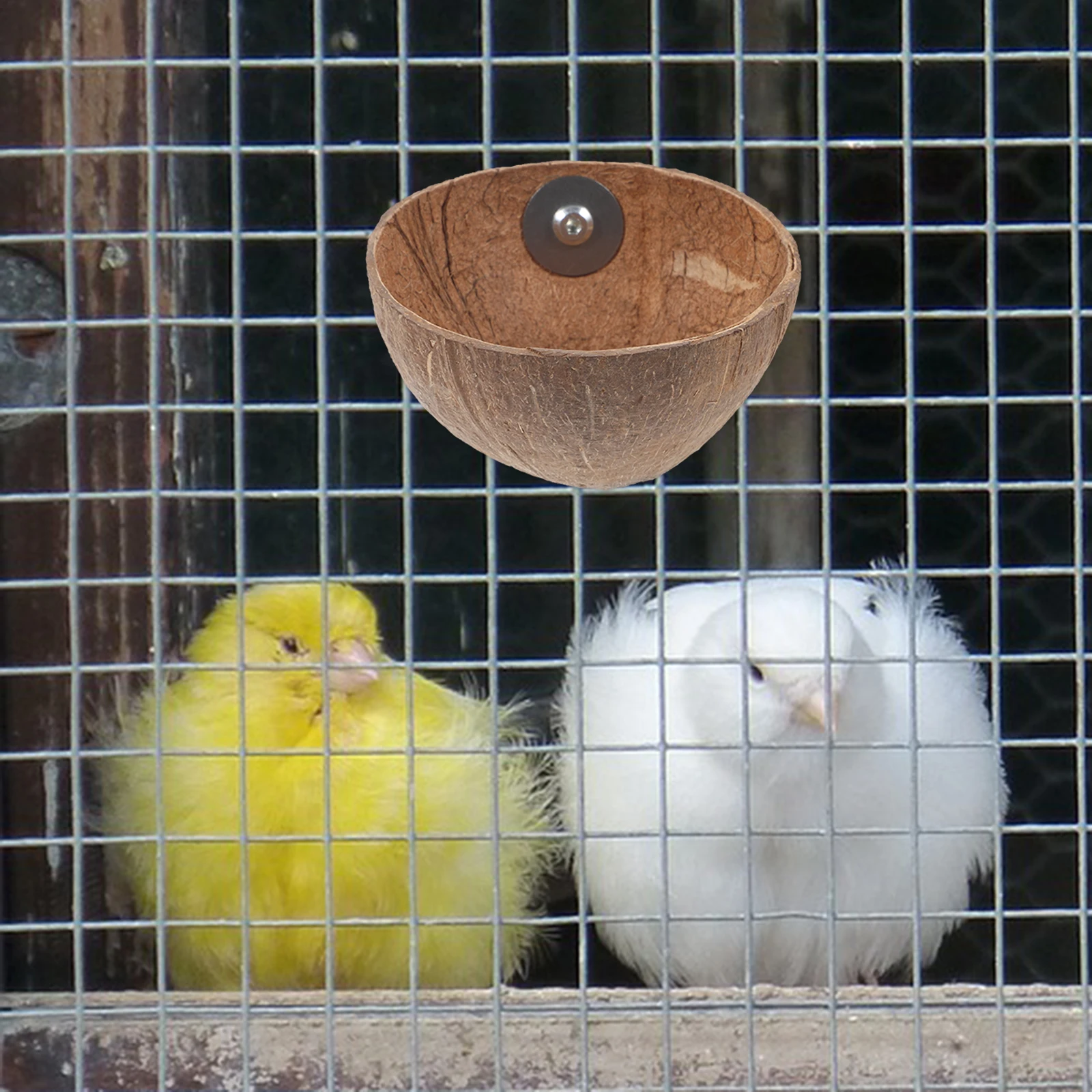 

Coconuts Shell Bird Nest Natural Cage Bird House for Budgies Parakeet Breeding Resting Sleeping and Outdoor Nest