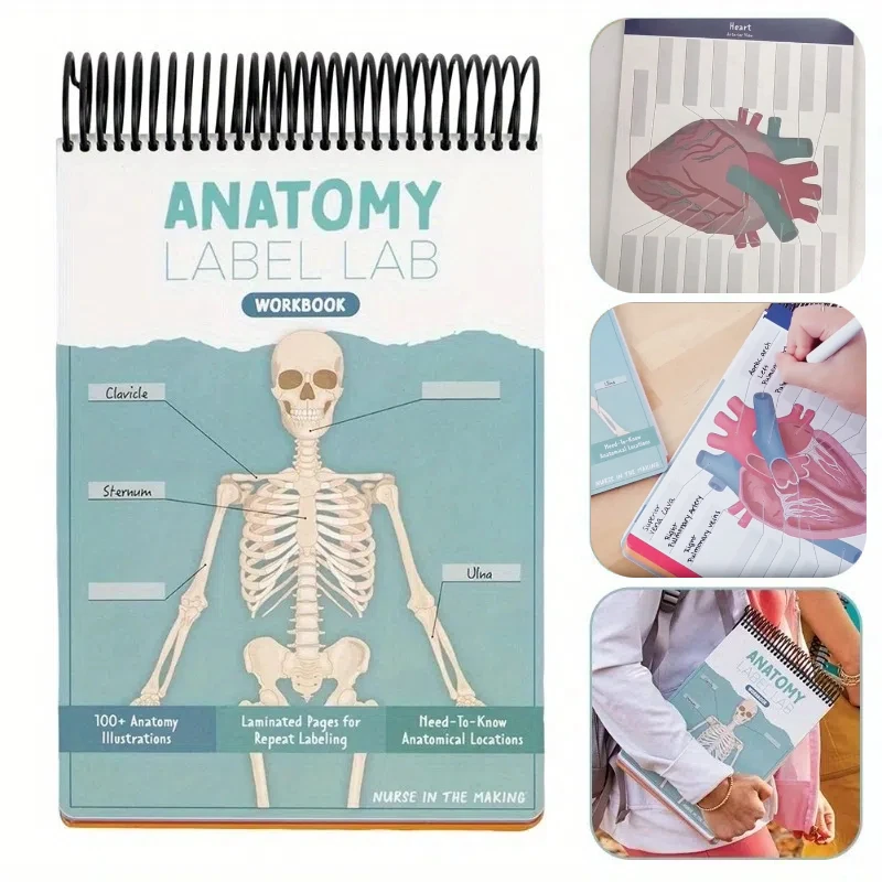 مصنف مختبر ملصقات التشريح - 100 صفحة متعددة من صور جسم الإنسان بالألوان الكاملة، صفحات سهلة الكتابة والتشريح والجسم