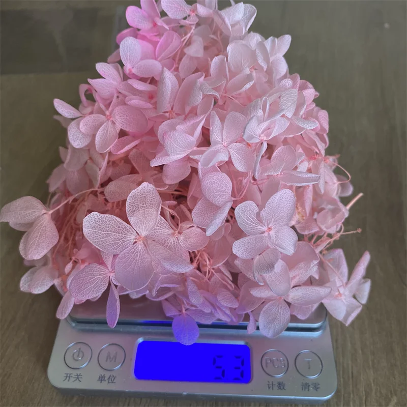 5~5.5g/Lot Natural Preserved Hydrangeas Fresh Eternal Flowers Dried Hydrangea Flower Heads For DIY Candle Making Gift Material