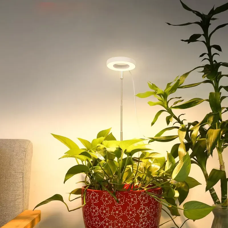 Adjustable 3 Timer Modes Table Top Led Grow Light Home Full Spectrum Growing Lights for Plants Indoor